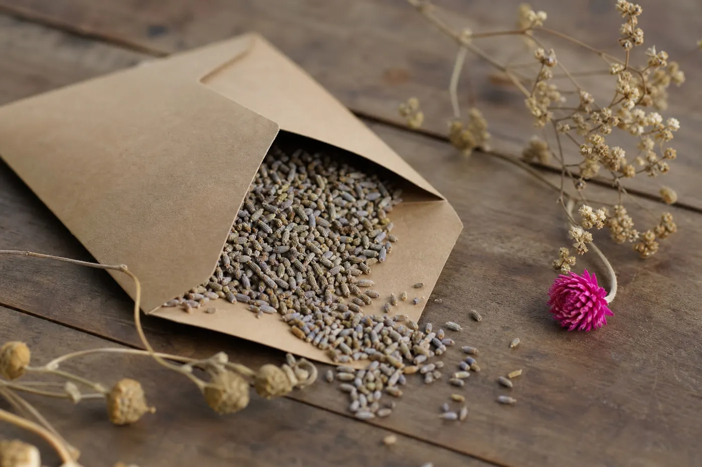 Enveloppe en papier kraft ouverte remplie de graines de fleurs séchées, posée sur une table en bois avec des tiges fanées.
